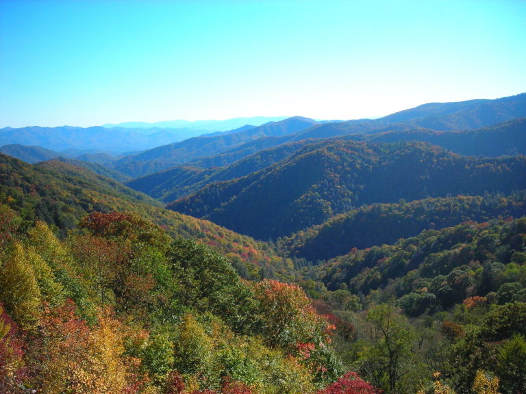 Top 5 Reasons to Move to Appalachia Kentucky - APPA Insurance